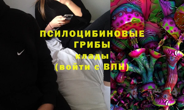таблы Алексеевка